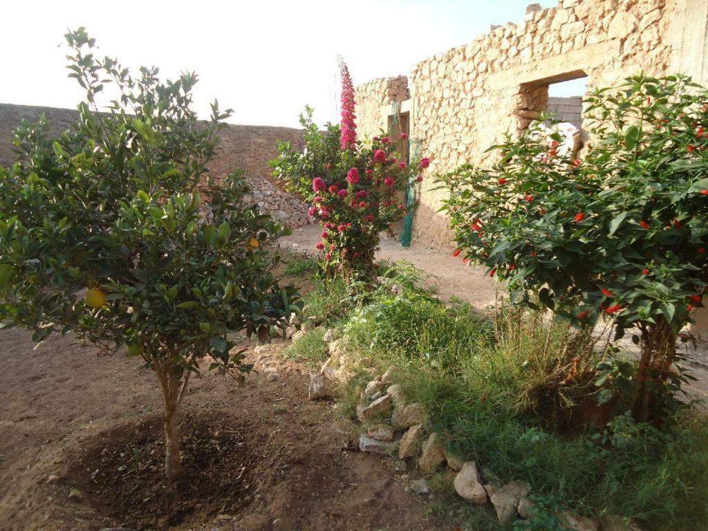 Apartmán Takad Dream Rural El Borj Exteriér fotografie